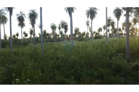Vendo Terreno En Altos Cñia Acuña