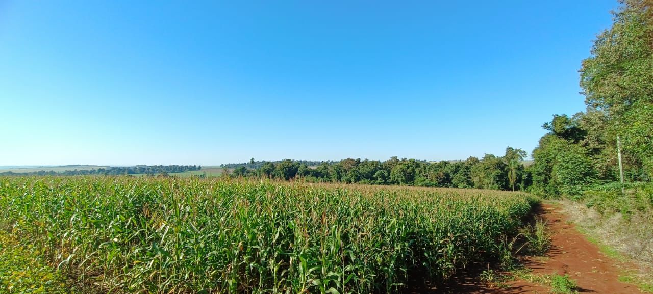 VENDO PROPIEDAD RURAL EN ITAKYRY ALTO PARANA DE 1.570 HECTAREAS — foto 2