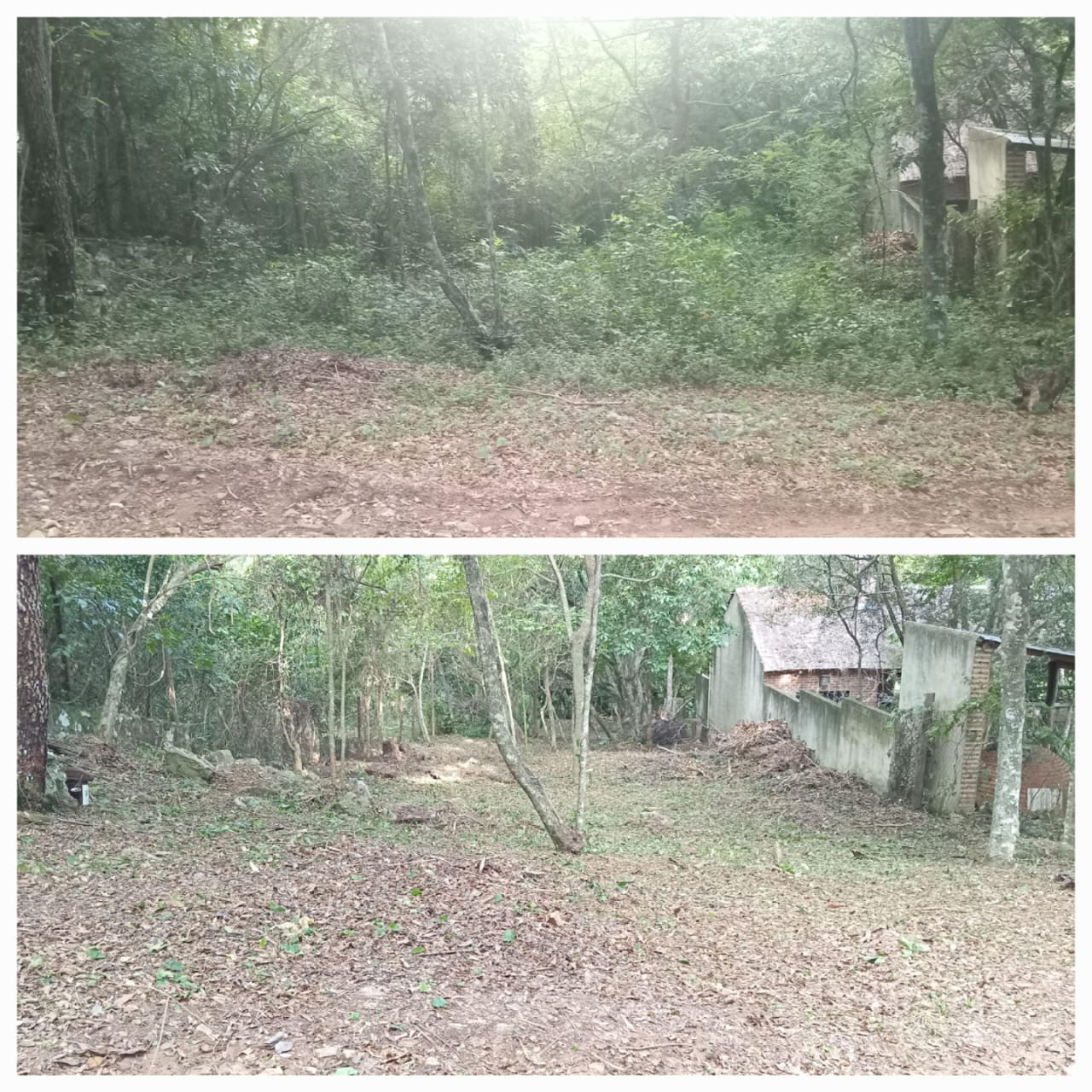 EN VENTA TERRENO EN ISLA ALTA NUEVA COLOMBIA — foto 2