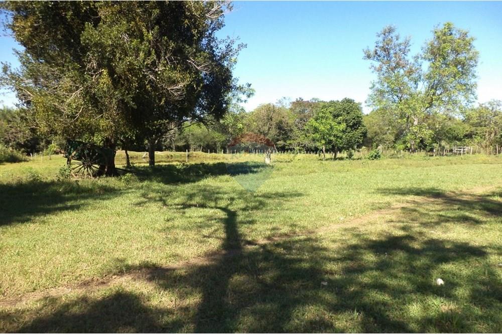 Estancia/Campo - Venta - Isla Pucú, Paraguay — foto 2