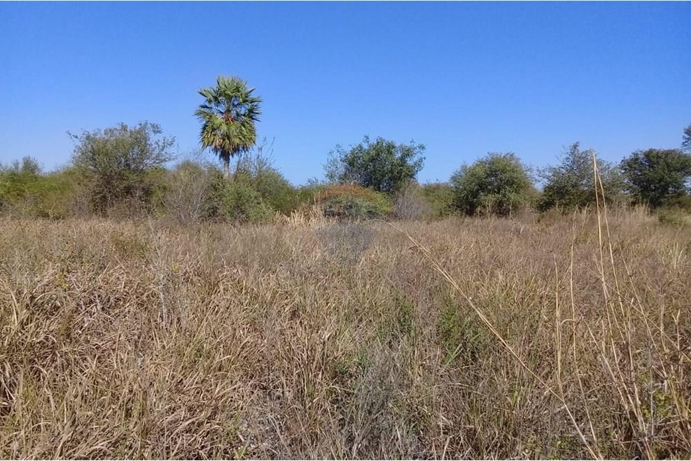 VENDO CAMPO GANADERO EN FUERTE OLIMPO — foto 2