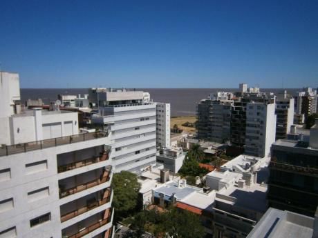 Espléndida Planta