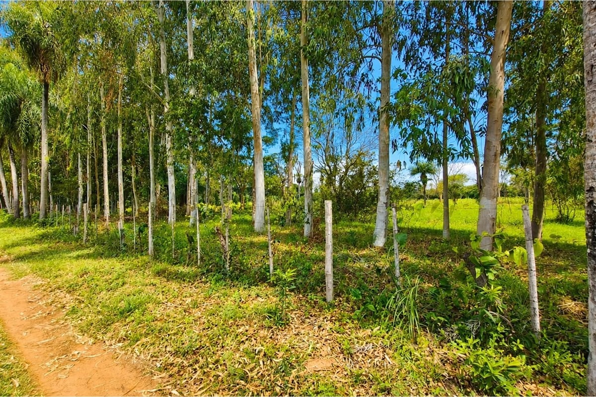 Vendo 21.458 m2 de terreno en la ciudad de Guarambaré - BARRIO TYPYCHATY — foto 3