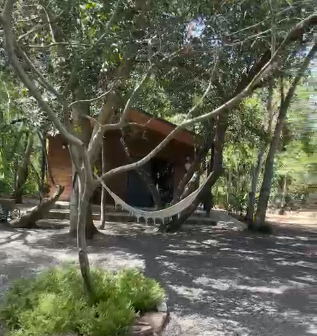MARAVILLOSA QUINTA EN VENTA!!!INVERSIÓN SEGURA!!! — foto 2