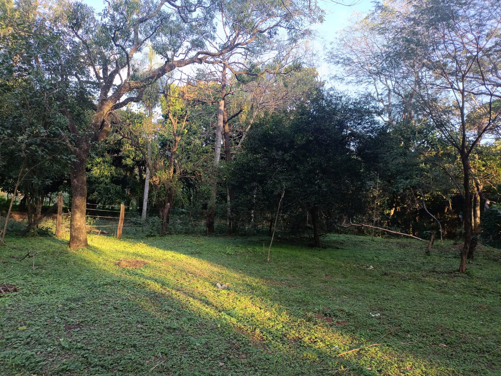 VENDO TERRENO EN CAACUPE AQUINO CAÑADA — foto 3