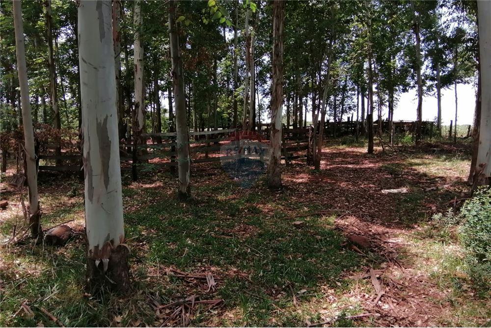 Vendo Terreno de 59 Hectáreas en Cambyreta — foto 2