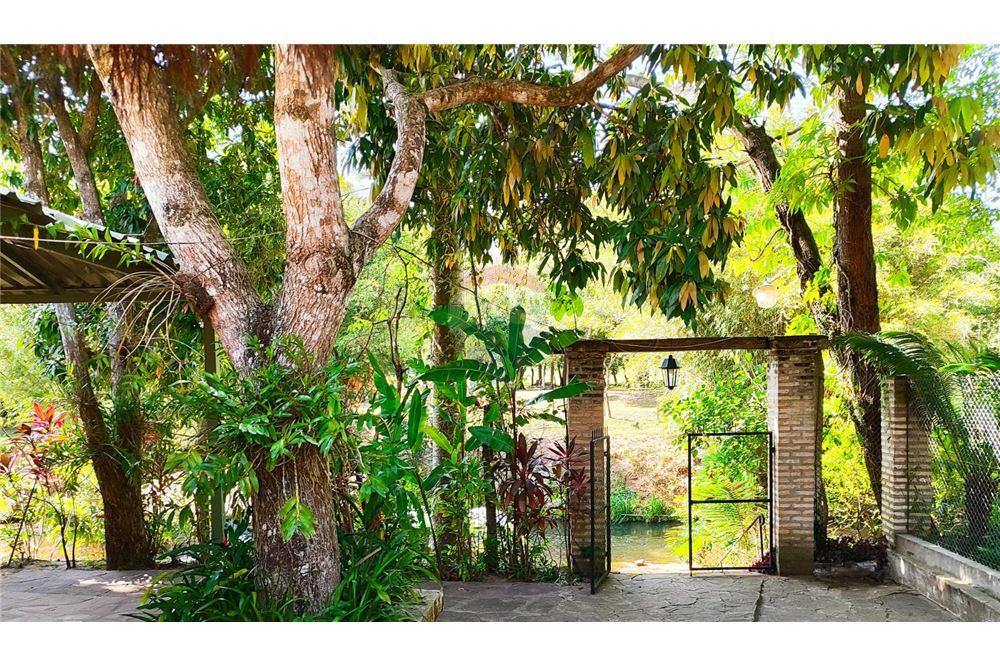 ENCANTADORA PROPIEDAD CASA QUINTA A ORILLA DEL RIO YHAGUY — foto 2