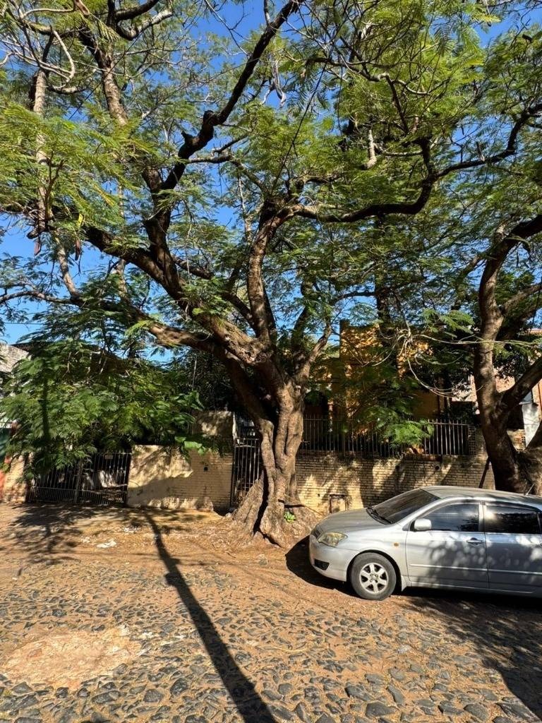 EN VENTA TERRENO CON CASA A DEMOLER O REFACCIONAR EN SAJONIA — foto 3