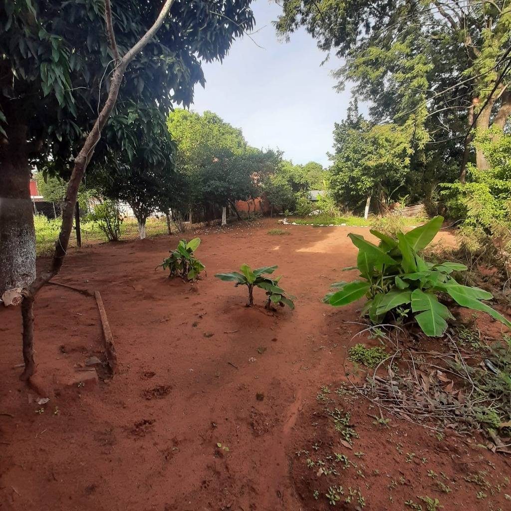 TERRENO EN VENTA - ÑEMBY MBOCAYATY — foto 2