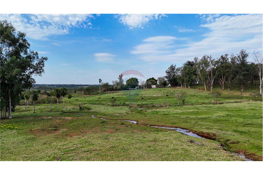 Estancia/campo - Venta - Nueva Germania, Paraguay — foto 3