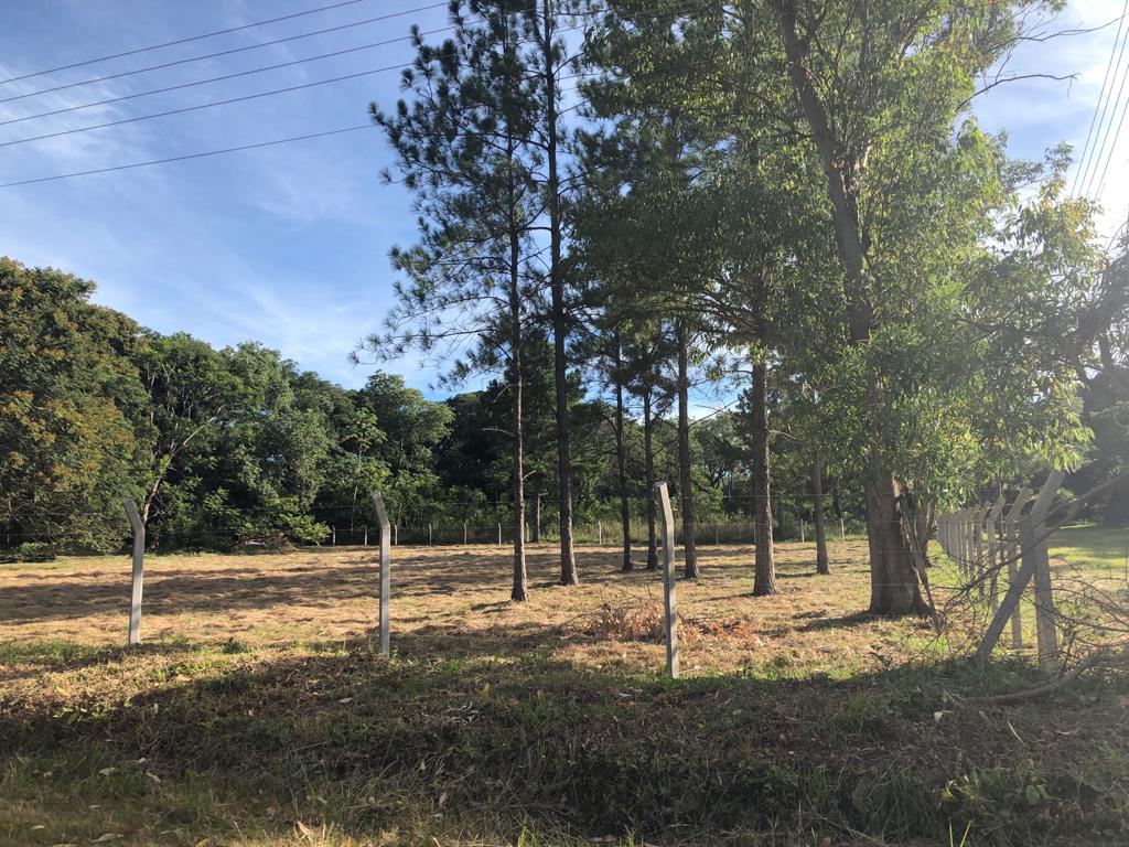 VENDO HERMOSO TERRENO EN SAN BERNARDINO, ZONA HOTEL LOS ALPES !!! — foto 2