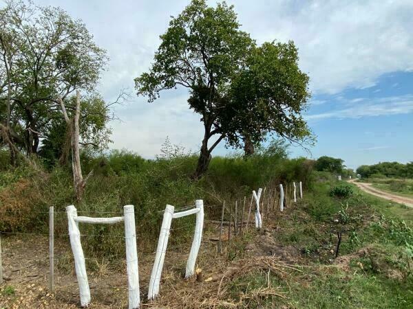 VENDO 41.448 M2 EN CHACOI — foto 2
