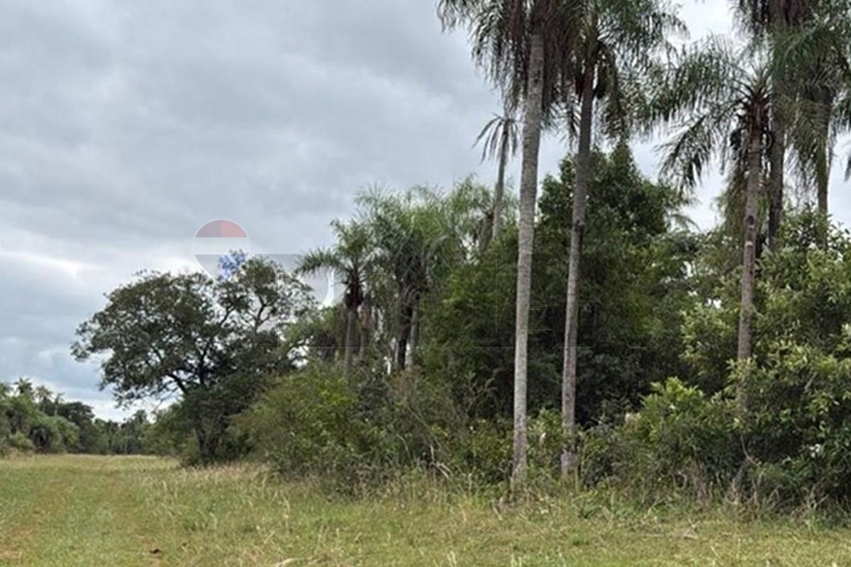 En Venta Terreno Caacupé — foto 3