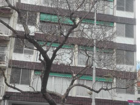 Frente Al Parque Rodo