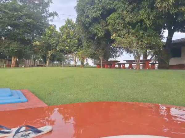 EN VENTA 14 HECTAREAS EN HERNANDARIAS — foto 3
