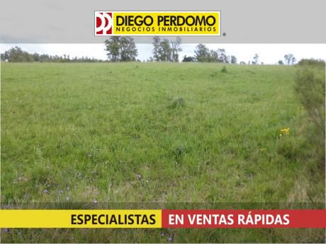 Campo De 67 Has En Venta, San José