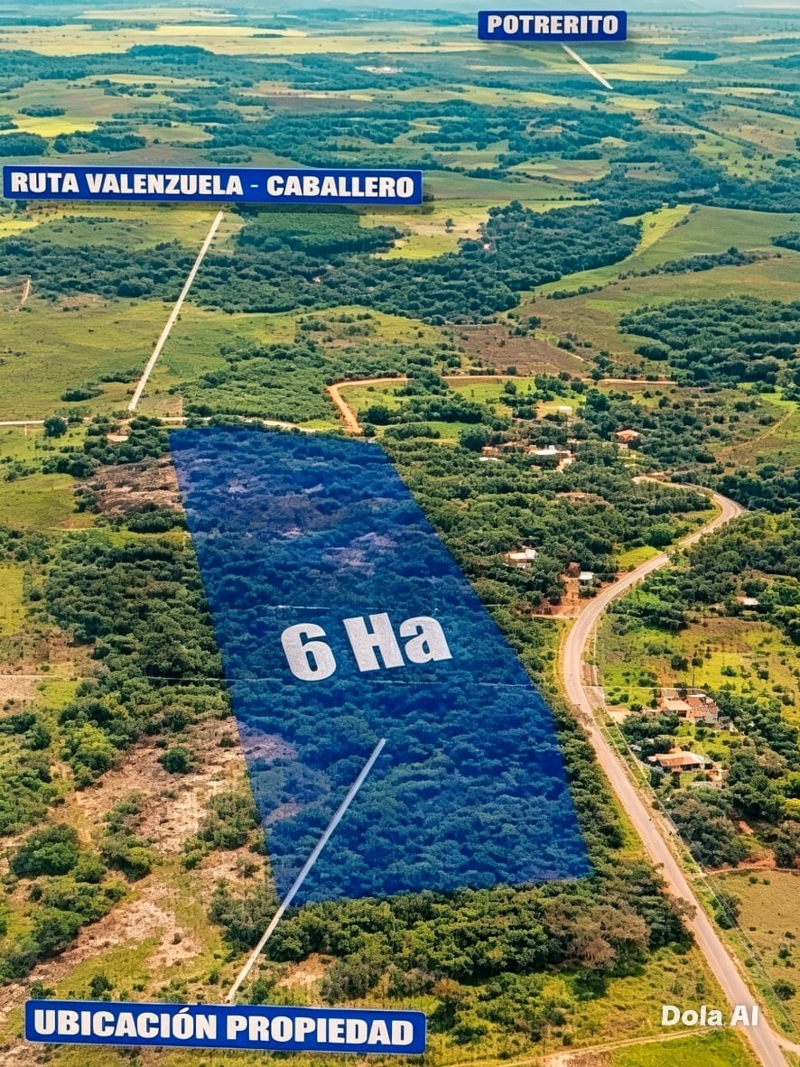 Terreno en venta – Venezuela, Cordillera – Naturaleza, agua y total privacidad. — foto 2