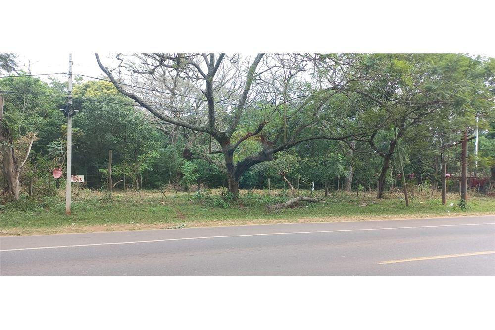 Oferta 2.1 Hectáreas sobre ruta en Paraguarí zona centro — foto 3