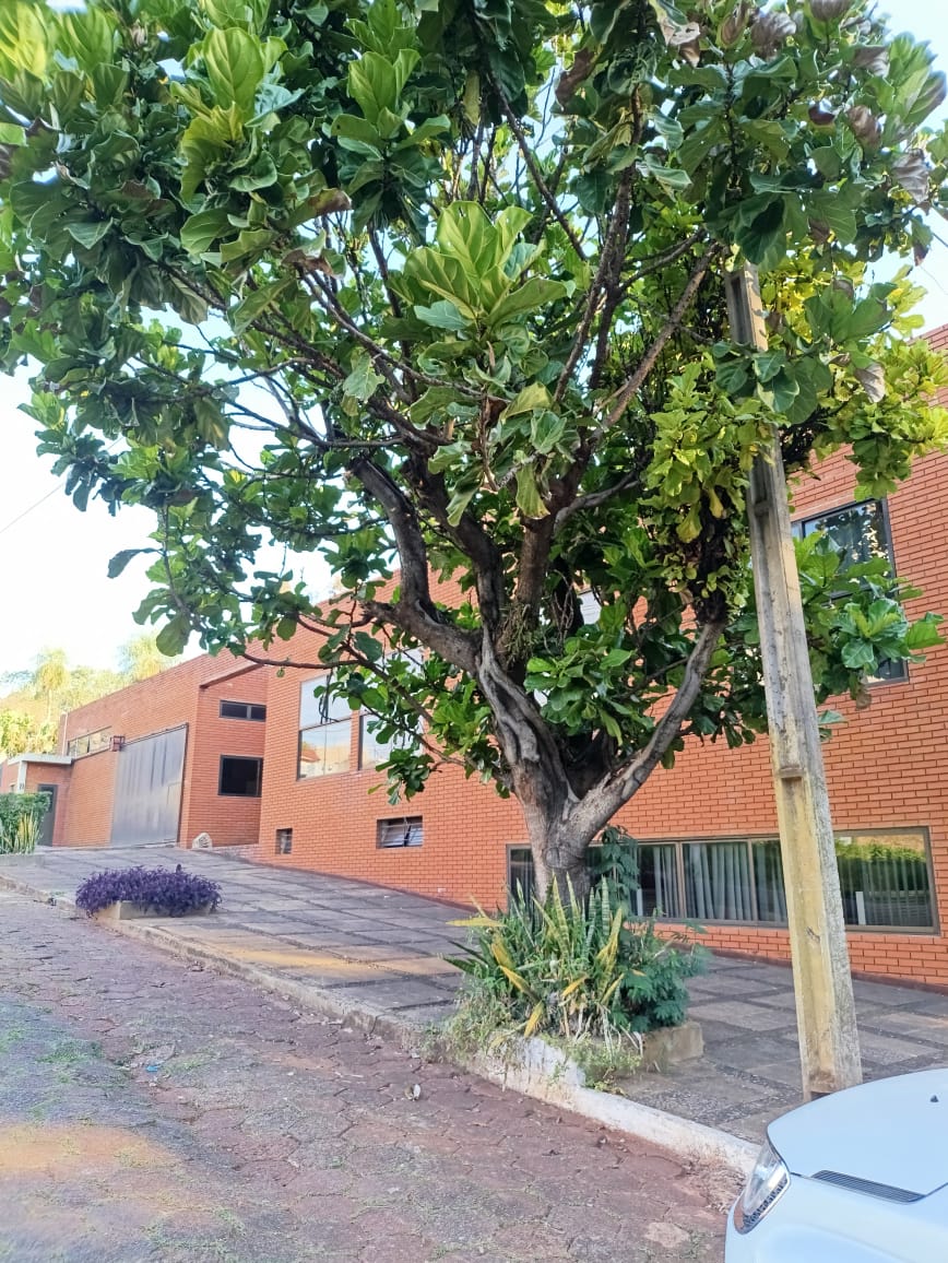 VENDO HERMOSO EDIFICIO EN CIUDAD DEL ESTE! — foto 3