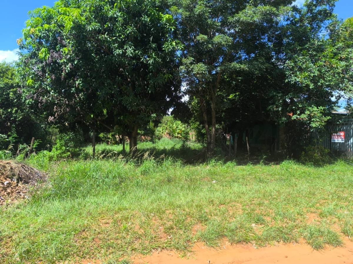 EXCELENTE OPORTUNIDAD!! 2 TERRENOS POR 150.000.000 EN ITAUGUA — foto 3