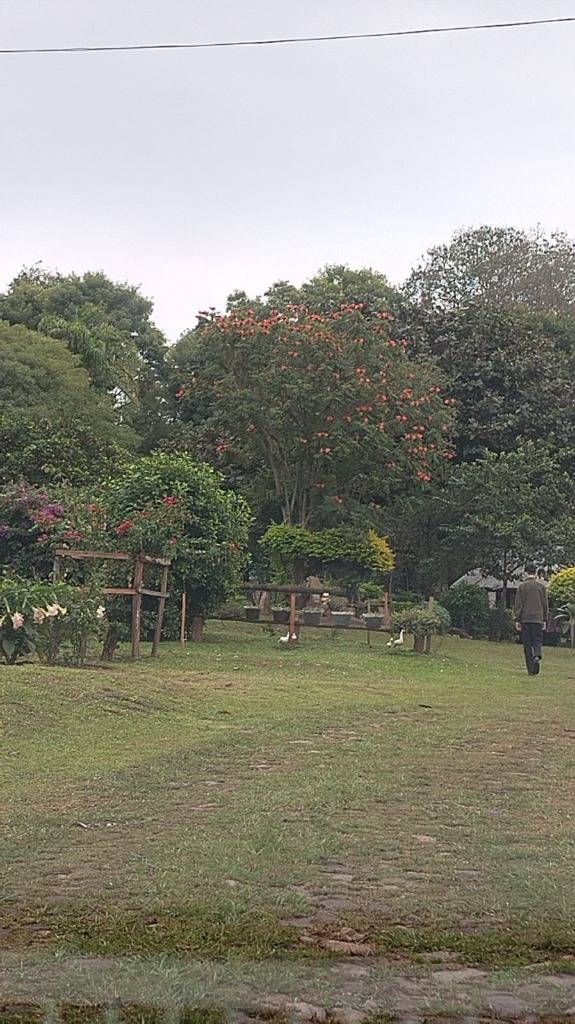 Propiedad en Arroyos y esteros de 56hectarias — foto 2