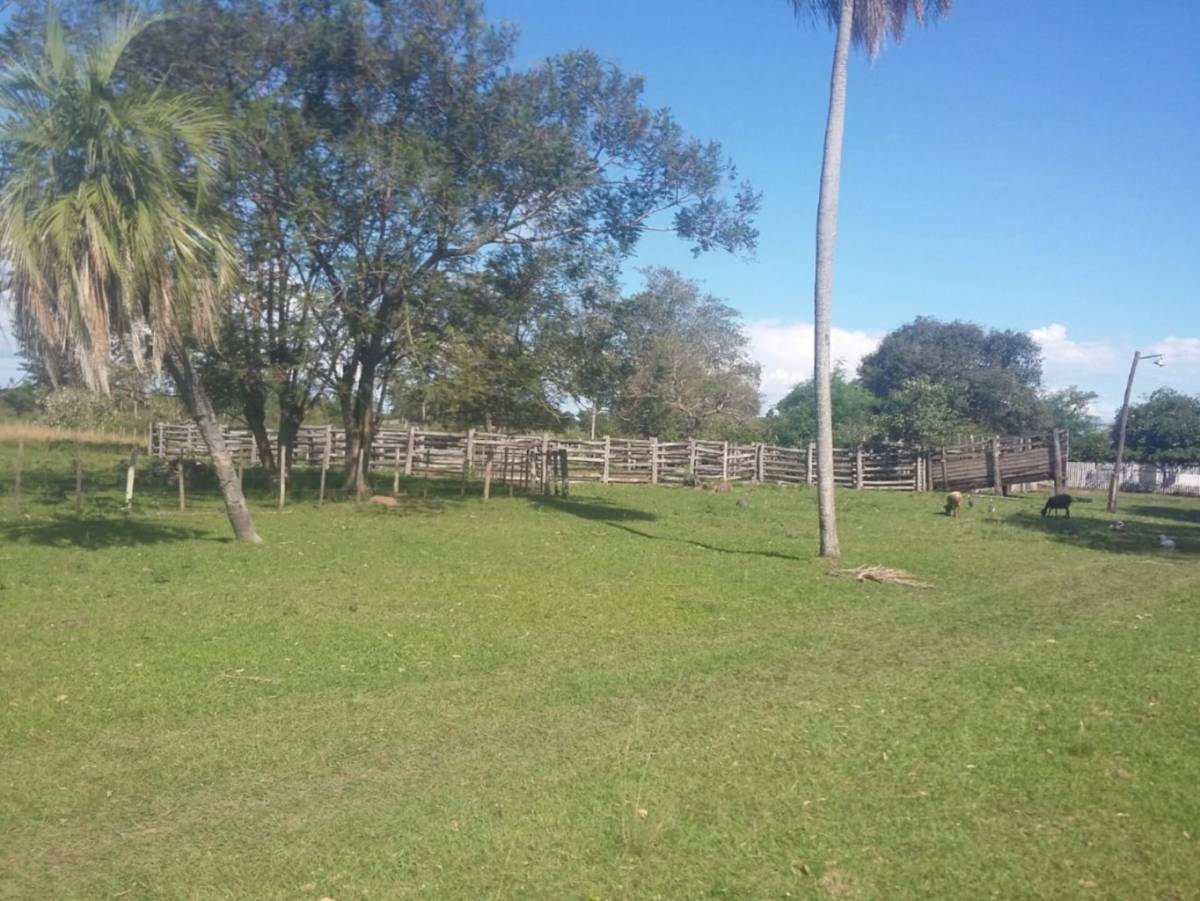 VENDO CAMPO LORETO CONCEPCION — foto 3