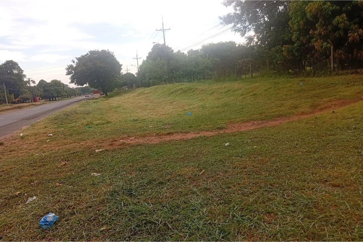 VENDO TERRENO DE 4 HECTÁREAS SOBRE LA RUTA PY08 EN GUAYAIBÍ — foto 2