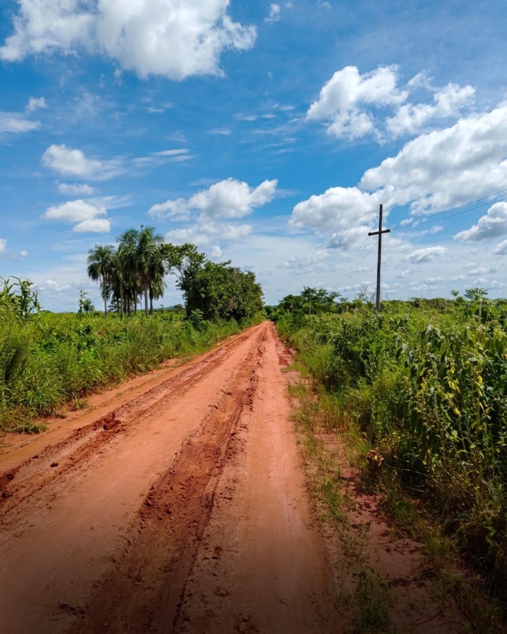 Propiedad En Venta – Coronel Oviedo — foto 3