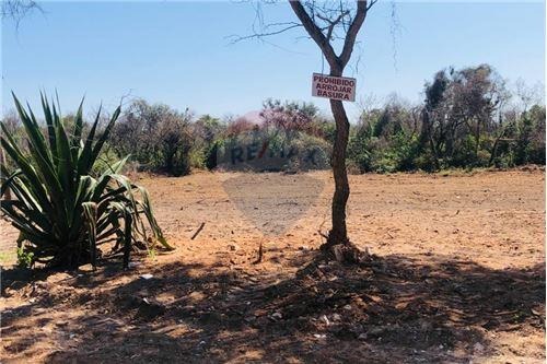 VENDO TERRENO EN SAN BERNARDINO CIERVO CUA!!! — foto 2