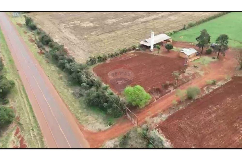 Venta - Alto Paraná  Amplio terreno mecanizado ‼️    ALTO PARANA — foto 2