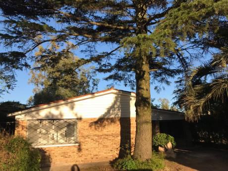 Casa En Alquiler En Solymar De 3 Dormitorios. Próximo Giannattasio