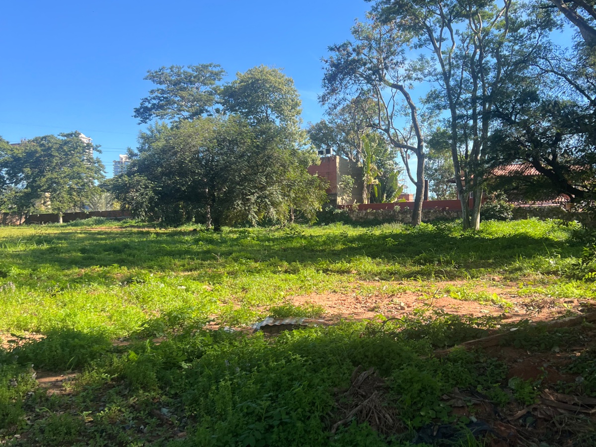 Alquilo terreno de 6800m2 sobre Primer Presidente! — foto 2