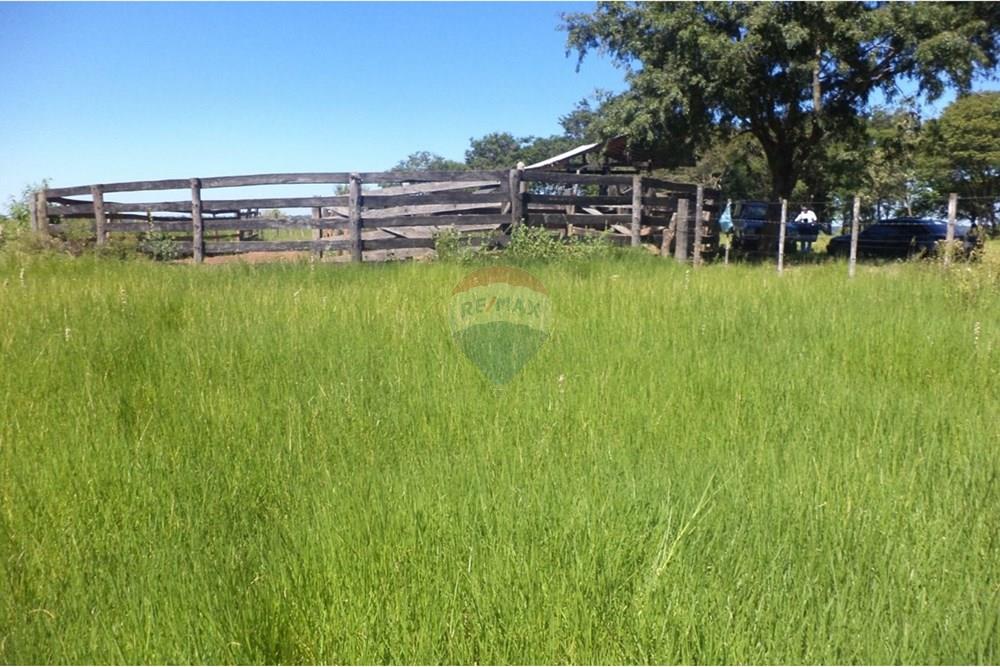 Estancia Ganadera de 72 HA en Isla Pucú - A 80km de Asunción — foto 2