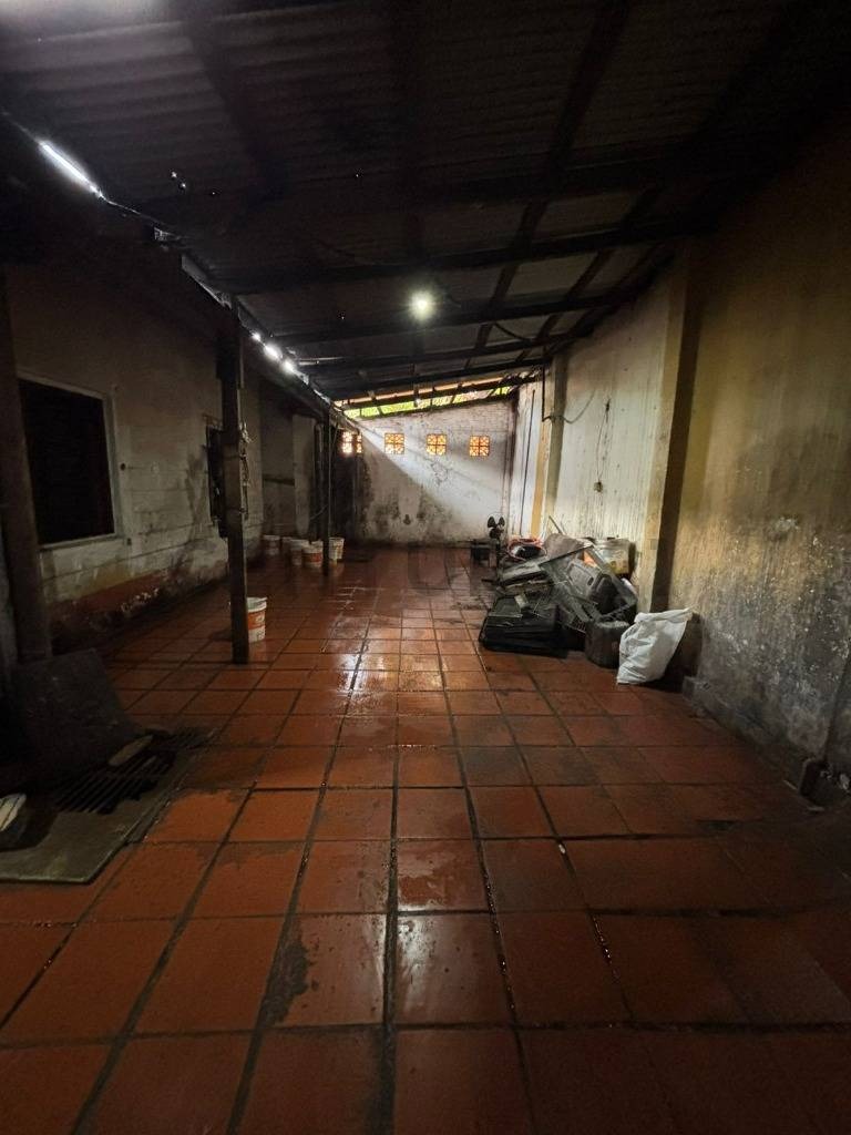 VENDO TINGLADO EN AREA 6 - CDE — foto 3