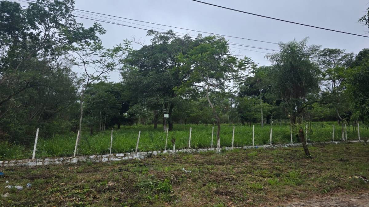 VENDO TERRENO EN SAN BERNARDINO — foto 3