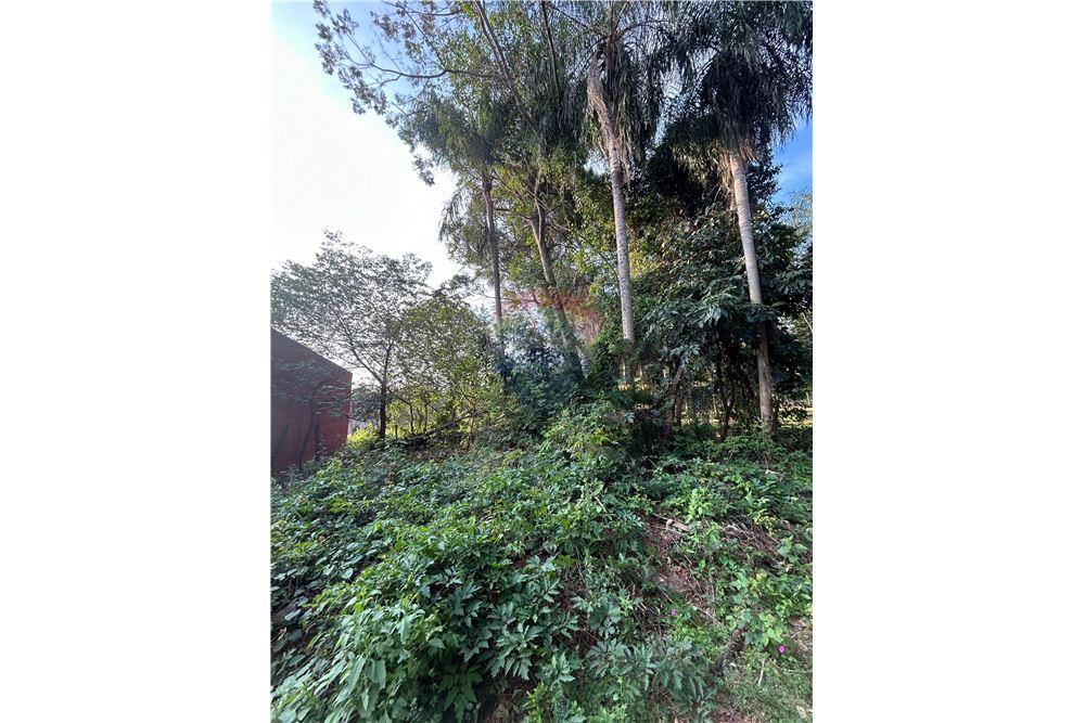 Amplio Terreno de 522 m² (16x32) en San Bernardino, Cerca de Avda Mbokaya — foto 3