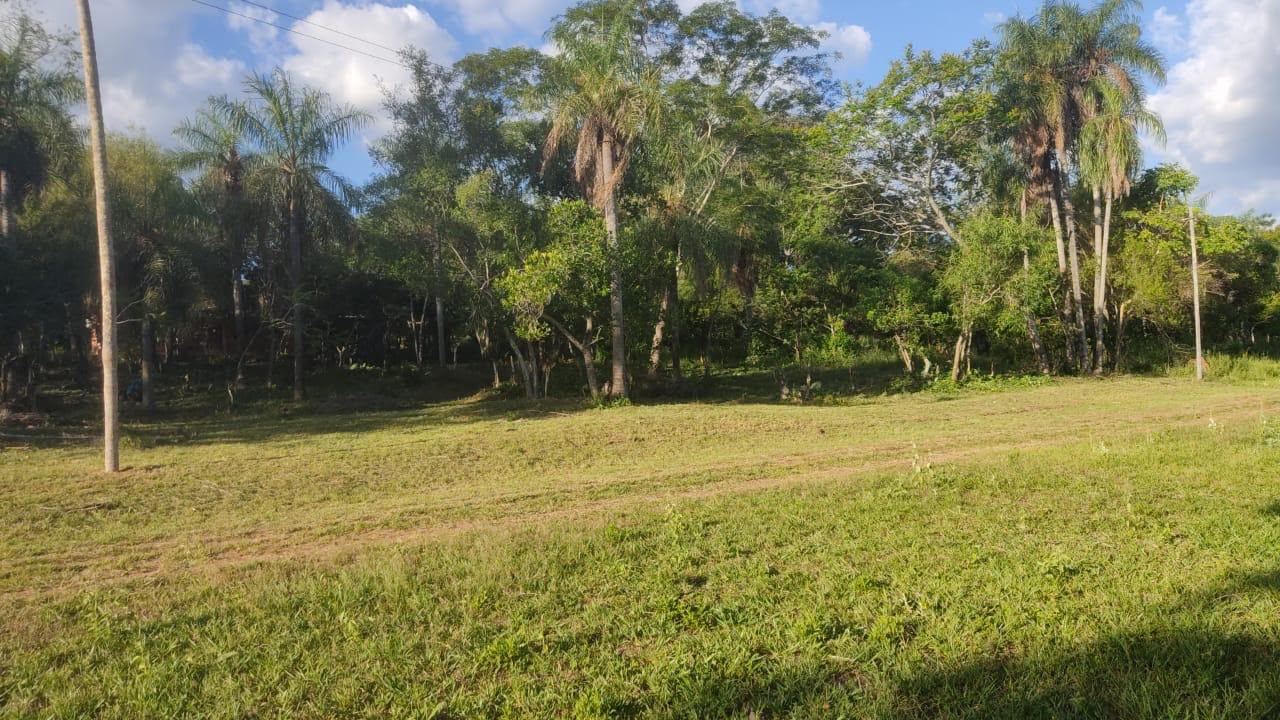 TERRENO EN VENTA EN ALTOS — foto 3
