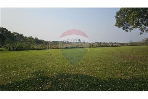 VENDO CASA DE CAMPO CON 55 HECTAREAS EN ITACURUBI!!!! — foto 3