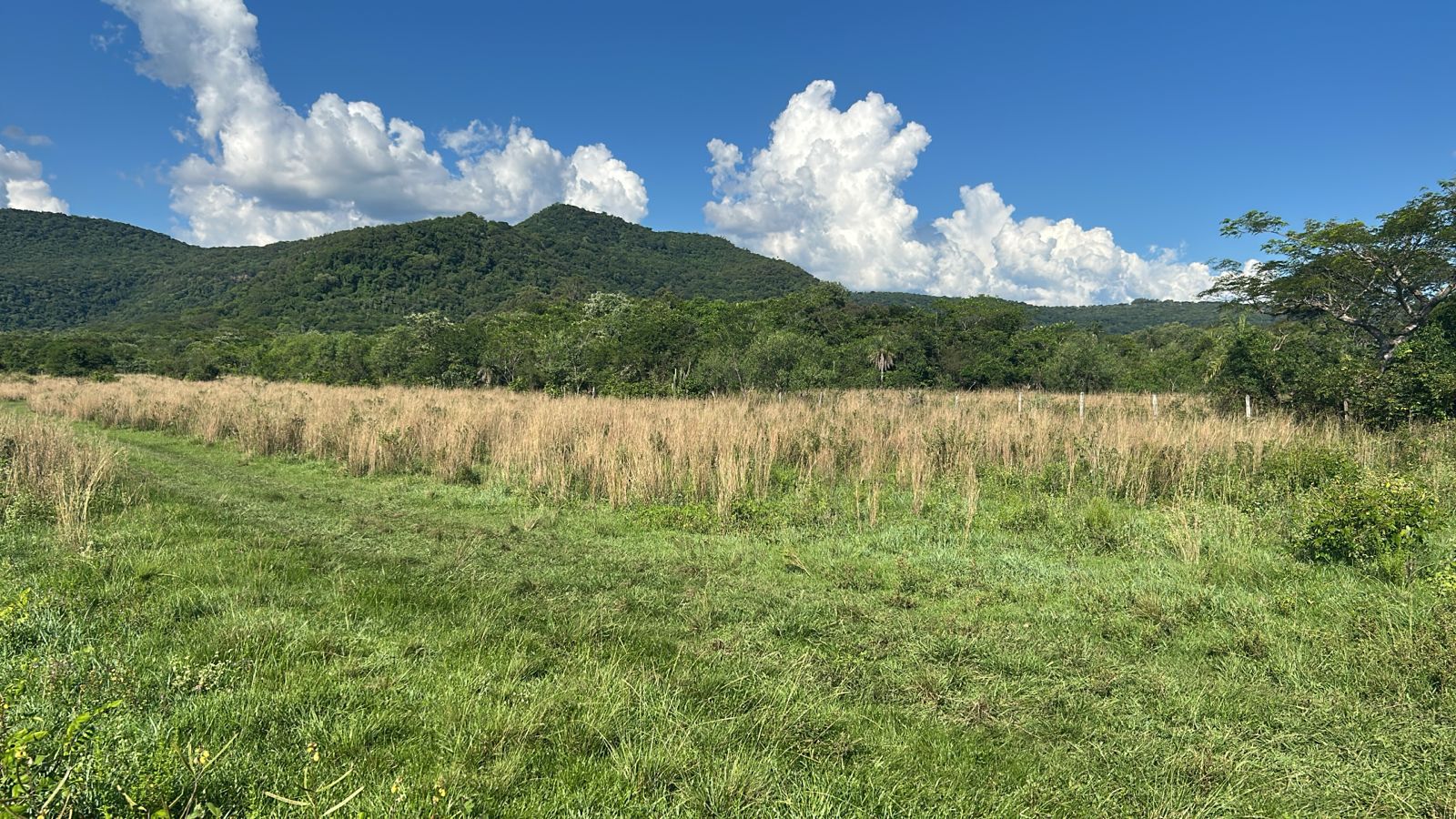 EN VENTA 30 HECTAREAS EN CERRO VERA - PIRAYU — foto 3