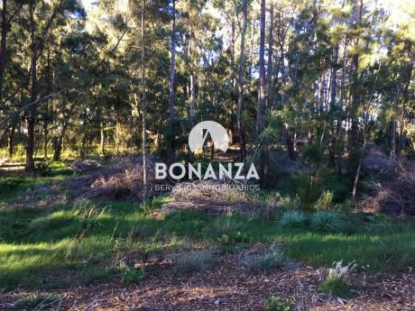 Terreno En Venta,piriápolis,punta Colorada, 700 M De Playa