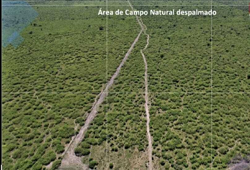 EN VENTA, ESTANCIA PARA ACTIVIDAD GANADERA — foto 2