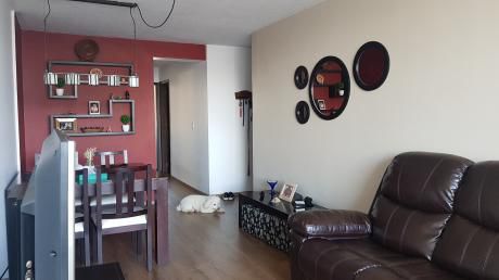 Venta Hermoso Apartamento Pocitos