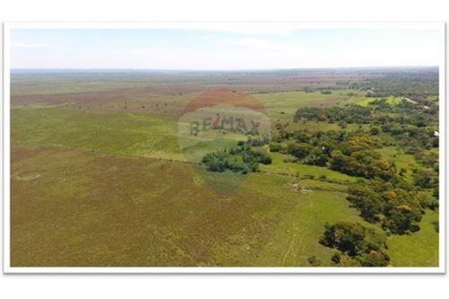 VENDO CAMPO/ESTANCIA EN ARROYOS Y ESTEROS — foto 2