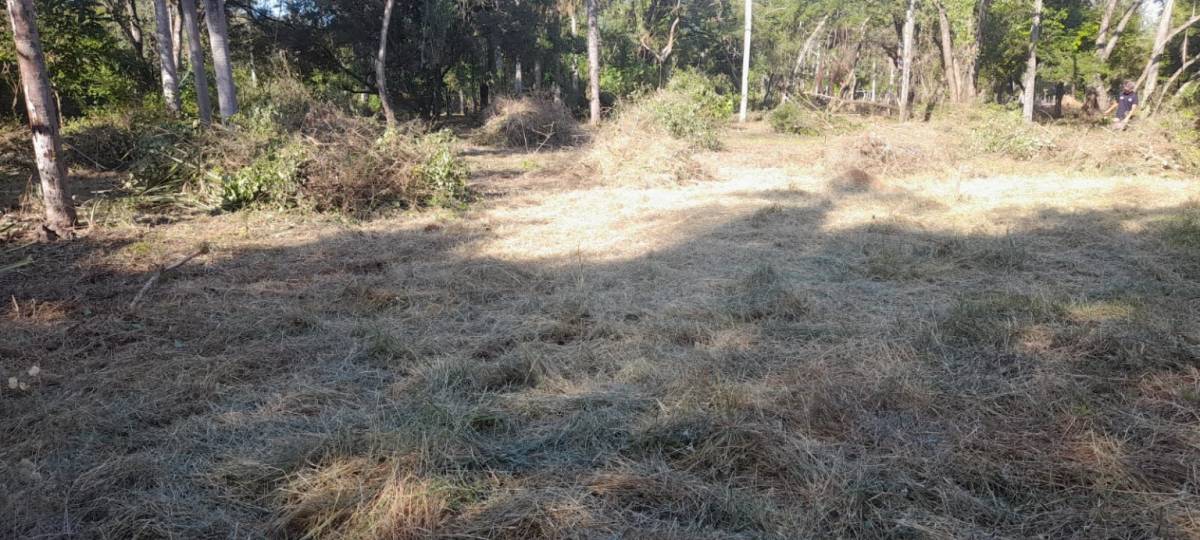 VENDO HERMOSO TERRENO SAN BERNARDINO ZONA CIERVO KUA — foto 3