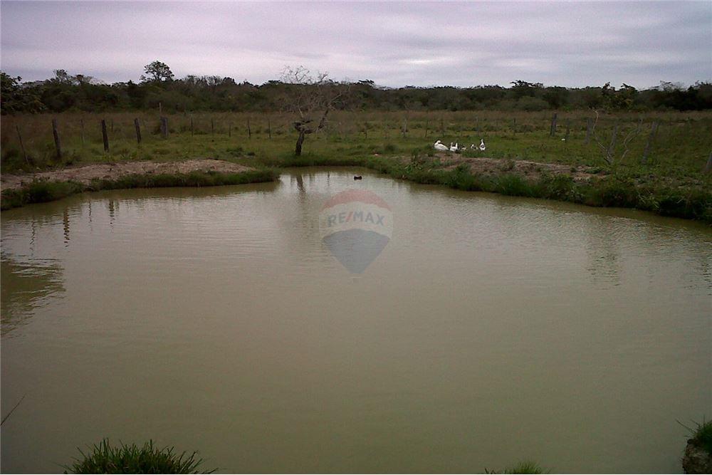 VENDO ESTANCIA FORMADA DE 77 HA EN SAN PEDRO! — foto 3