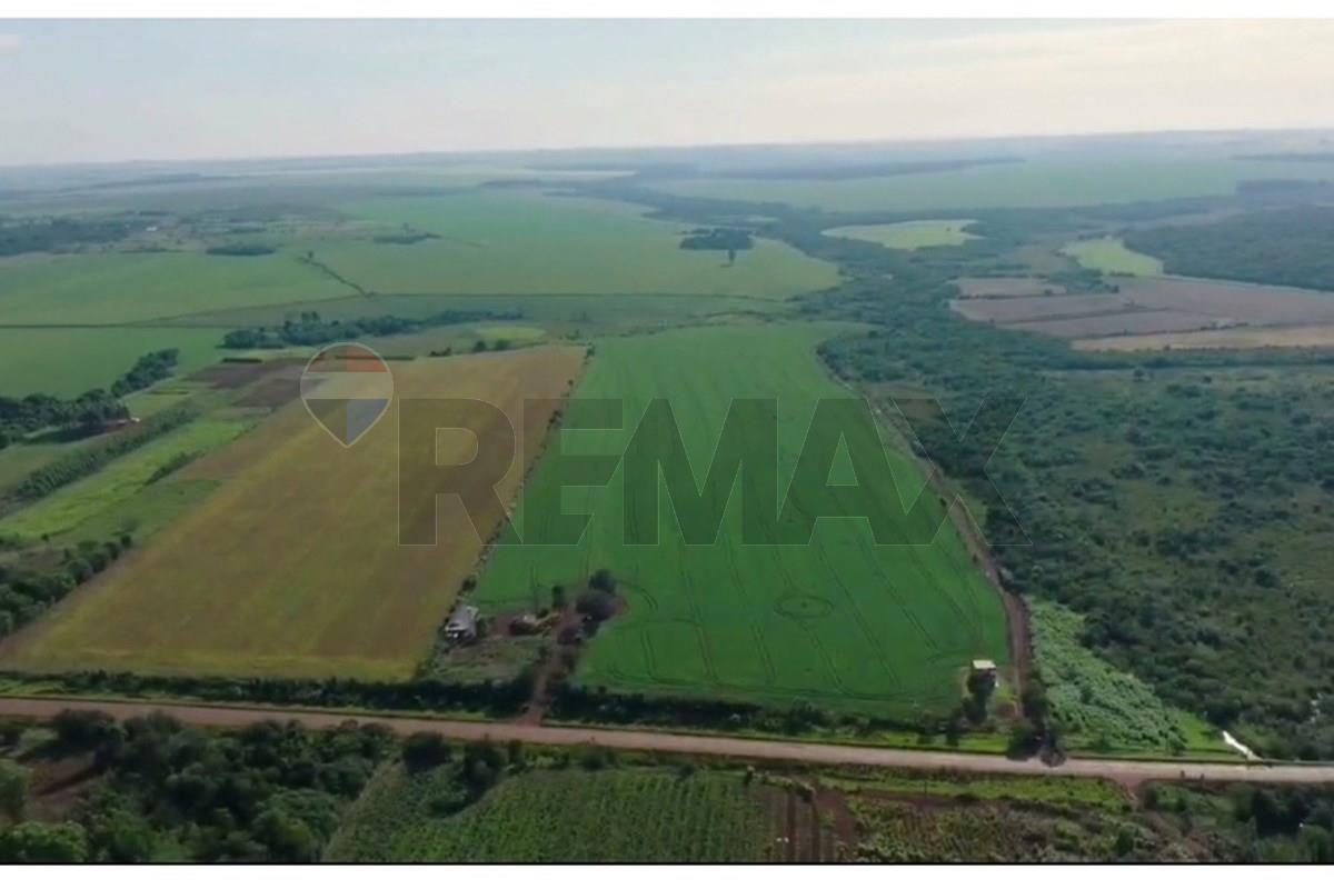 VENTA DE 90 HECTÁREAS EN SANTA FE DEL PARANÁ‼️ — foto 3