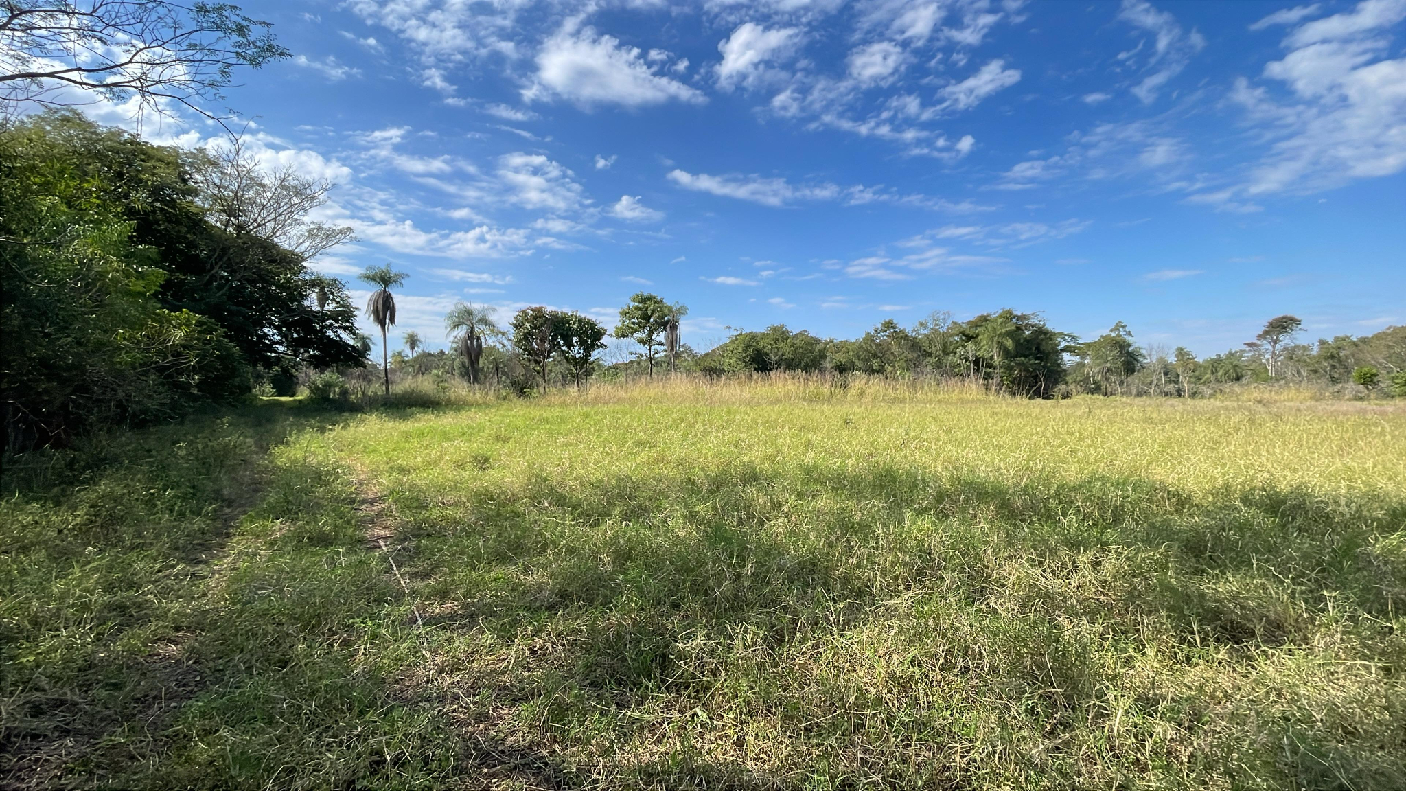 Vendo 3 hectáreas en Caraguatay  Compañía Boquerón o Compañía 6 de enero — foto 2