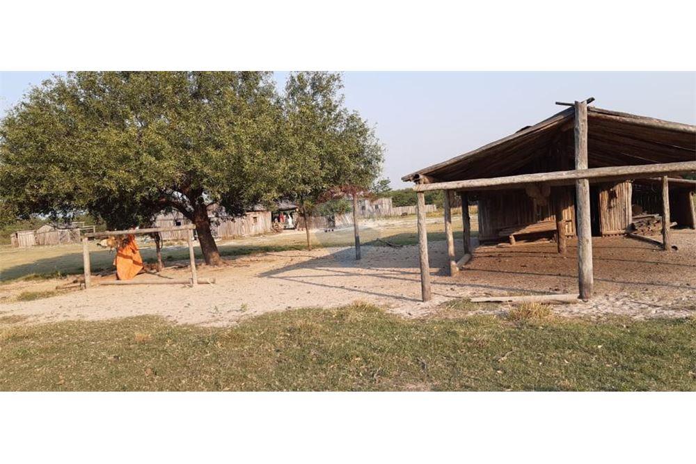 Estancia Campo - Venta - Fuerte Olimpo, Alto Paraguay, Paraguay — foto 3