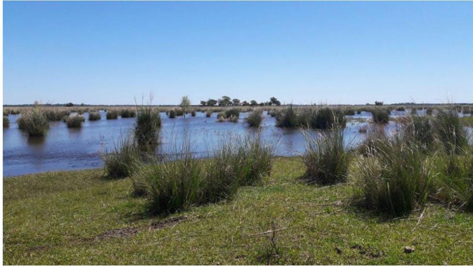 Vendo Propiedad Rural de 6.565 Hectáreas Sobre el Río Paraná - CLCS6983111 — foto 3