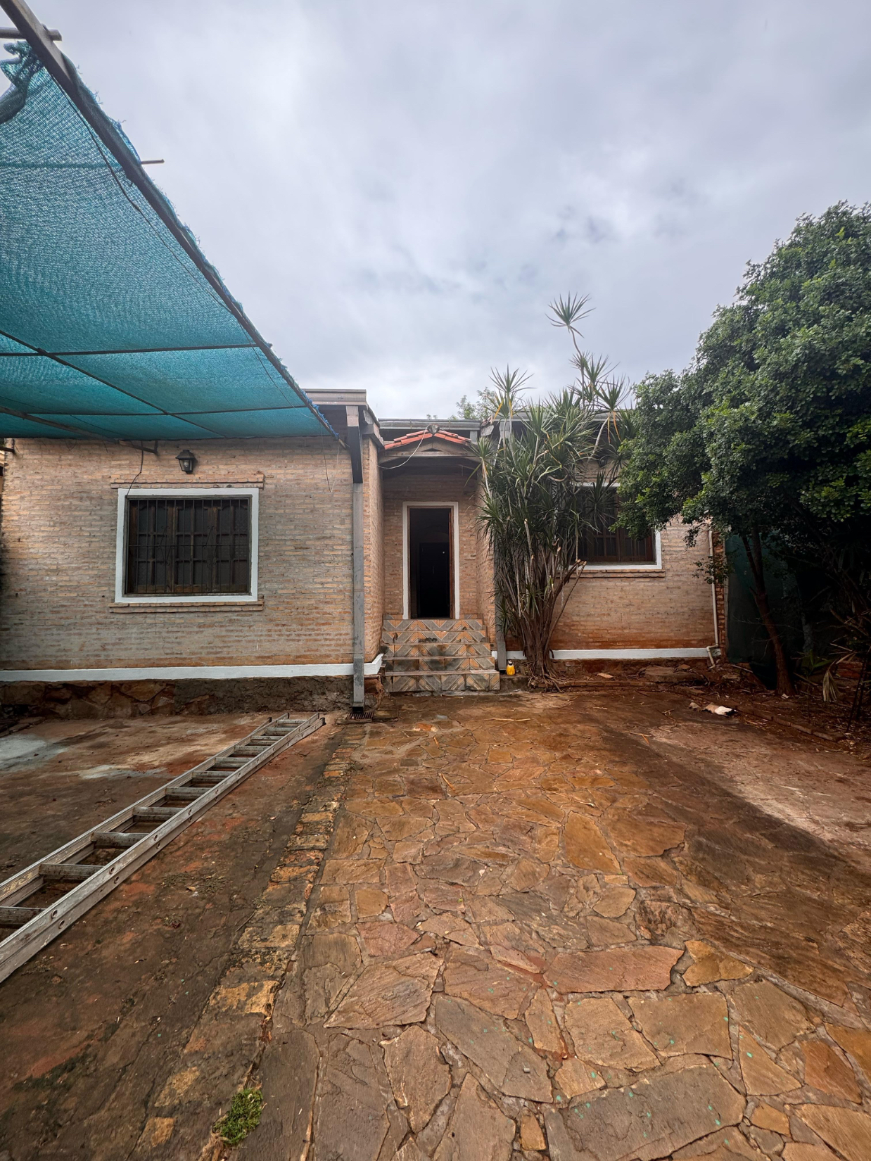 ALTOS EN VENTA CHALET DE 3 DORMITORIOS TODA EN PLANTA BAJA — foto 3